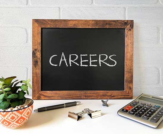 Career